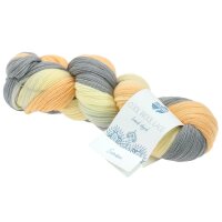 Lana Grossa - Cool Wool Lace Hand-Dyed 0804 sonam