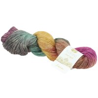 Lana Grossa - Ecopuno Hand-Dyed 0513 suman