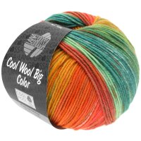 Lana Grossa - Cool Wool Big Color