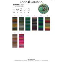 Lana Grossa - Colorissimo 2